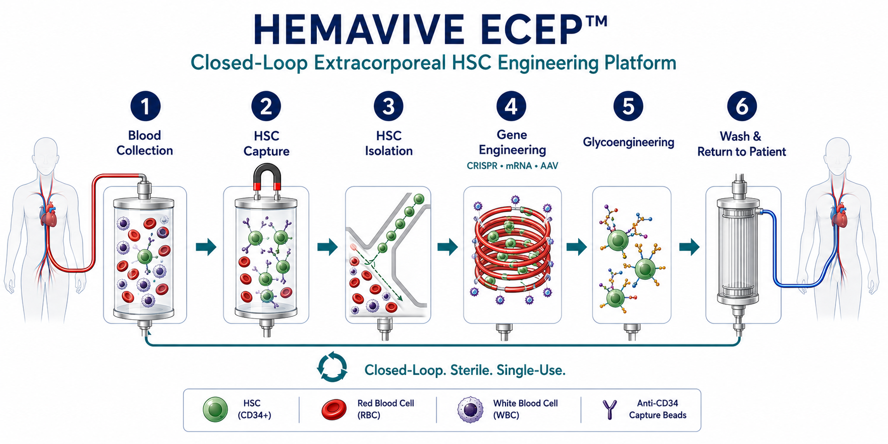 Hemavive ECEP closed-loop process diagram